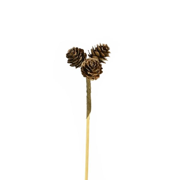 <h4>Omerica Cone 3pc O/s Nat</h4>