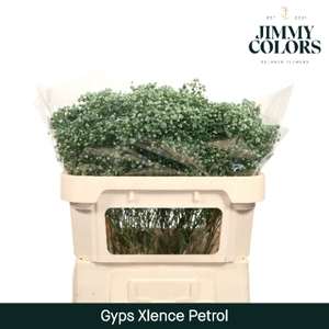 Gyps Xlence l70 Petrol