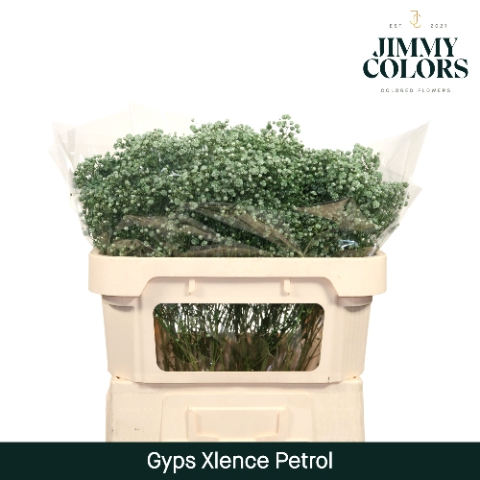 <h4>Gyps Xlence l70 Petrol</h4>