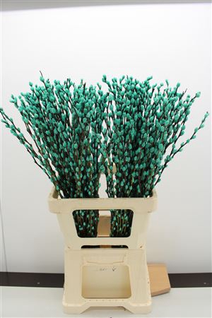 <h4>Katjes Salix Turquoise</h4>