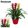 Guzmania Carnaval Forma Rood (Decorum)