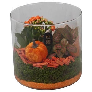 PTHG8207 Arrangement Autumn Glass in glas cylinder