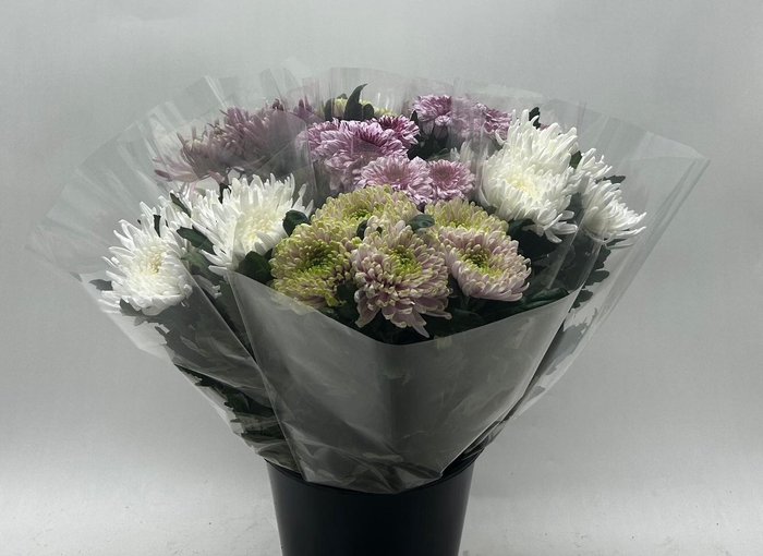 <h4>Chrysanthemum geplozen kas overig</h4>