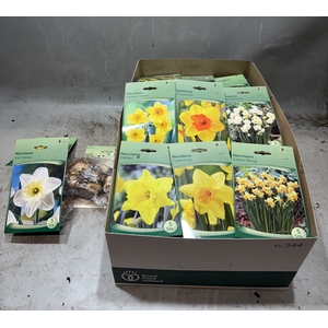 BLOEMBOL NARCIS