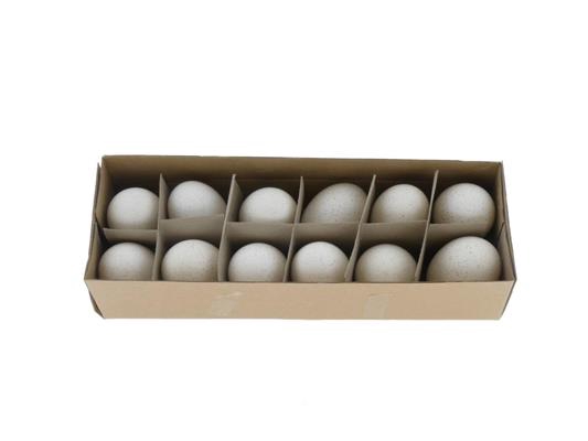 Egg Turkey White Box (12pcs)