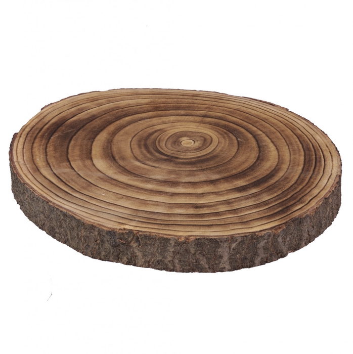 <h4>Hout Paulownia schijf d40*4cm</h4>