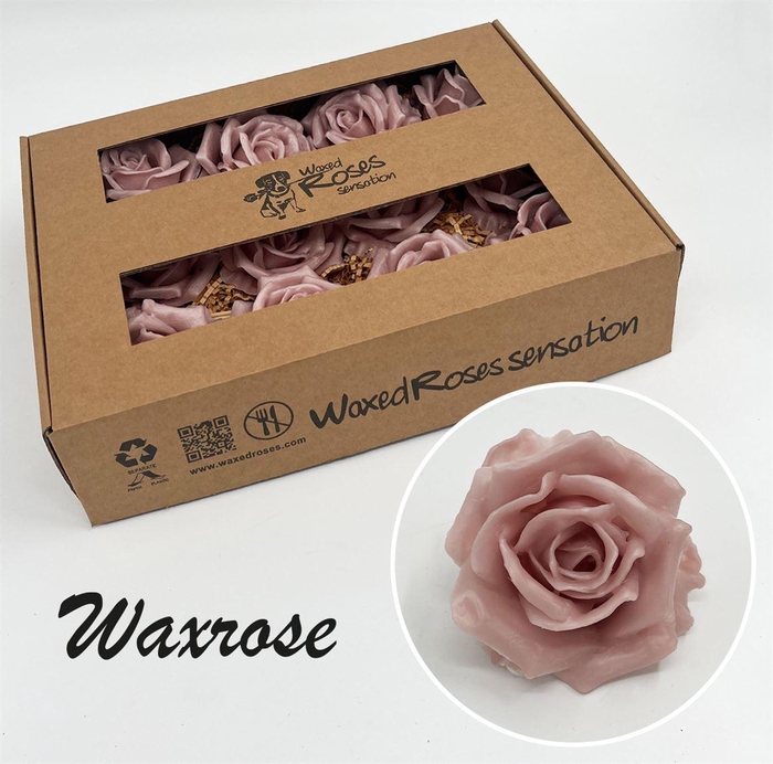 <h4>Zijde R Wx Pink (oud Roze)</h4>