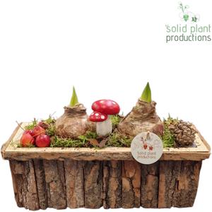 BRMA002 Amaryllis Bark R Medium Brown
