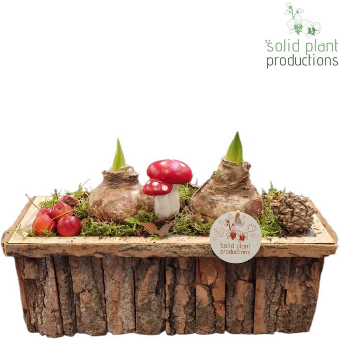 <h4>BRMA002 Amaryllis Bark R Medium Brown</h4>