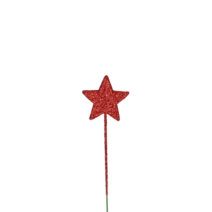 <h4>Sale Christmas Deco star/wire 40mm x60</h4>