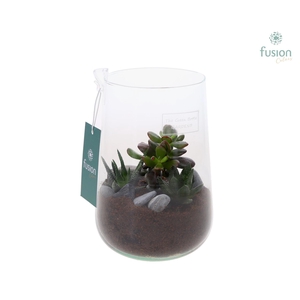 Green Bottle Deline Medium met Succulenten