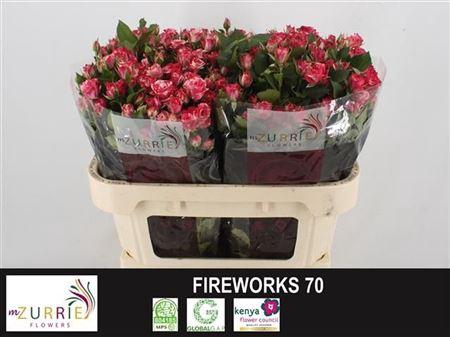 <h4>R Tr Fireworks</h4>