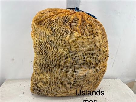 Mos Ijsland In Zak Gedroogd