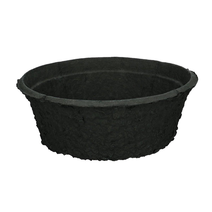 <h4>Oasis Biolit Bowl 26cm</h4>