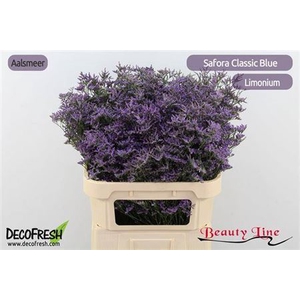 Lim Saf Classic Blue
