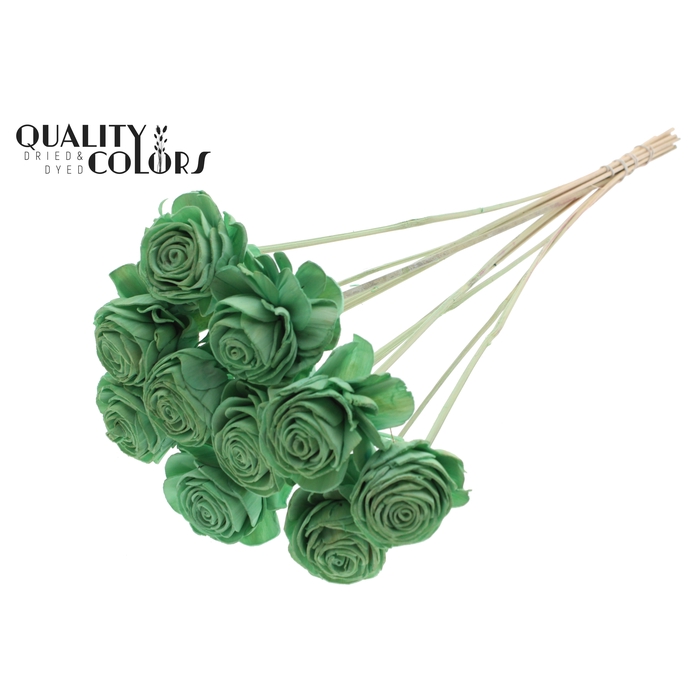 <h4>Shola Beauty Rose 6cm on stem Mint Green</h4>