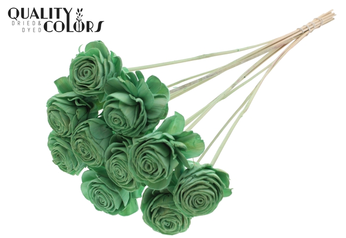 Shola Beauty Rose 6cm on stem Mint Green