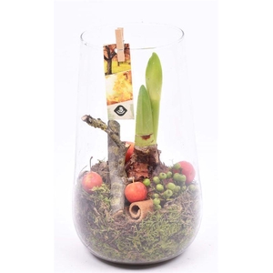 Glas cilinder 14x16cm