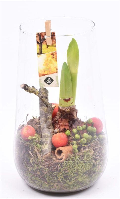 <h4>Glas cilinder 14x16cm</h4>