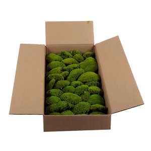 Bolmos Gepreserveerd Bulk Ca. 0.8-1.0 M2