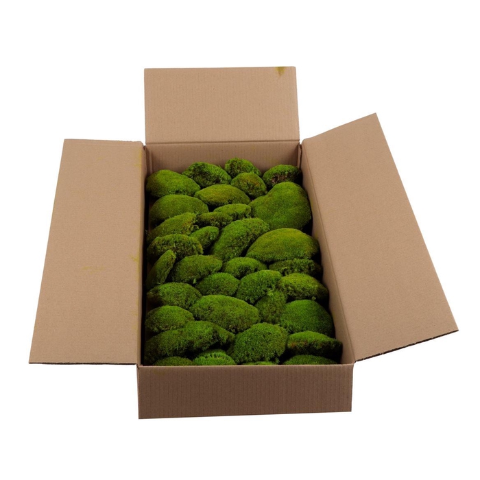 <h4>Bolmos Gepreserveerd Bulk Ca. 0.8-1.0 M2</h4>