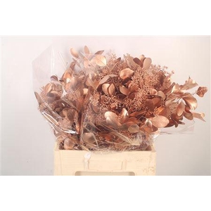 Euca Populus Berry V Copper