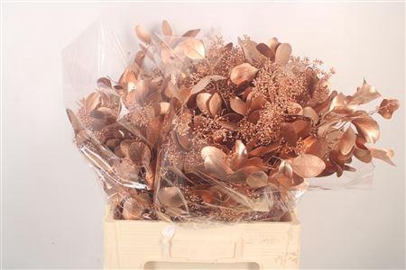 <h4>Euca Populus Berry V Copper</h4>