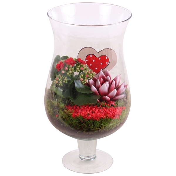 <h4>Valentine Arr. Indoor Glass Cognac Ø17cm 2PP</h4>