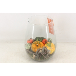 arr4 Sierfruit MB - Glas malaga x3