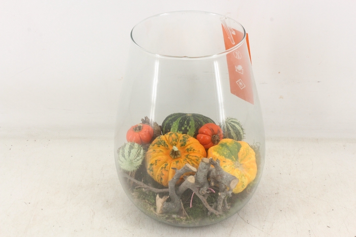 <h4>arr4 Sierfruit MB - Glas roma taps x5</h4>