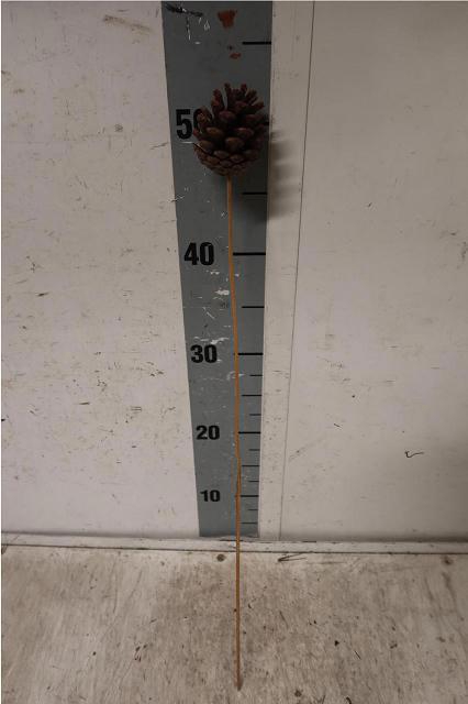 <h4>HUIS EN TUINDECO H%</h4>