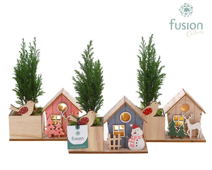 <h4>Kerst planter hout met verlichting met Chamaecyparis</h4>