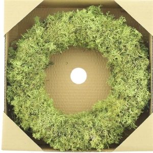Wreath Egelmoss Kiwi Green