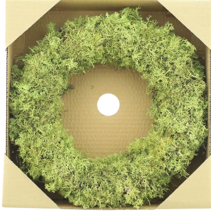 <h4>Wreath Egelmoss Kiwi Green</h4>