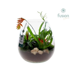 Green Bottle Abby XLarge met Bromelia