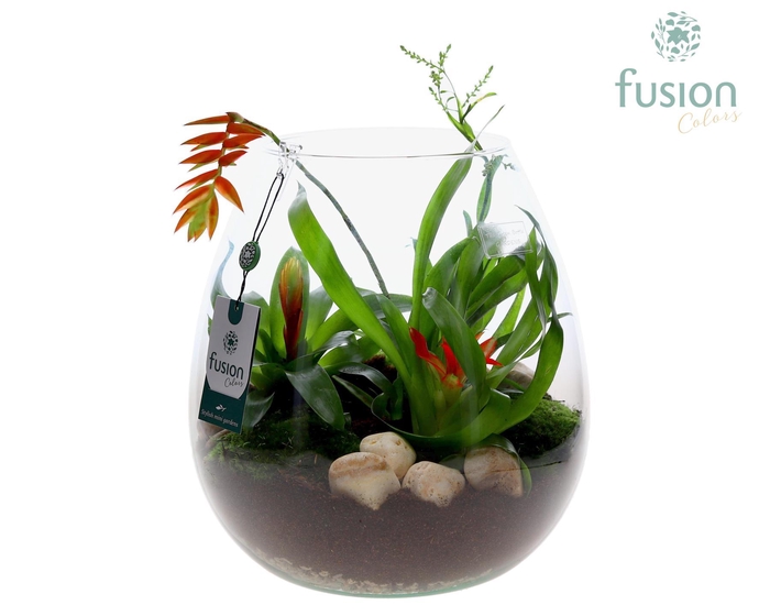 <h4>Green Bottle Abby XLarge met Bromelia</h4>