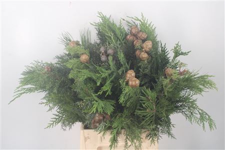 <h4>Boeket X-mas Mix Per Bunch</h4>