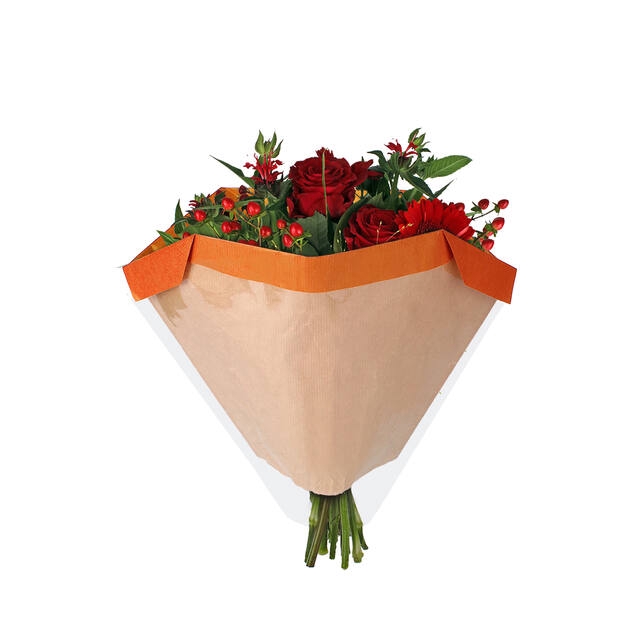 <h4>Hoes 27x44Â½x11cm OPP30/45gr kraft Piccolo oranje 250/doos</h4>