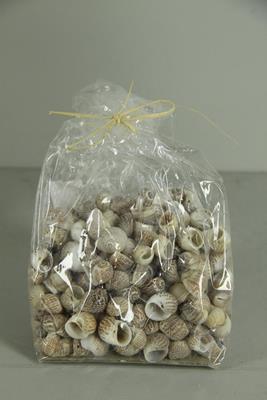 <h4>Shell Pull Muttai (500gr)</h4>