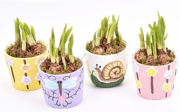 <h4>Keramiek sierpotjes 10cm</h4>