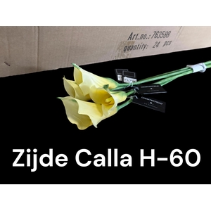 HUIS EN TUINDECO H%