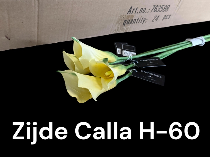 <h4>HUIS EN TUINDECO H%</h4>