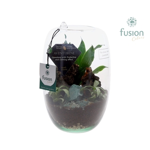 Green Bottle Isabella Small Edelstenen met arrangement