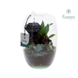 Green Bottle Isabella Small Edelstenen met arrangement