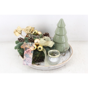 arr5 Kerst MB - Ker. schaal white kboom gold