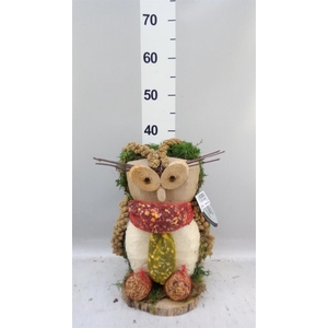 Decoratie  ..Vogelzaadfiguur  H%