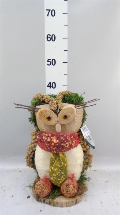 <h4>Decoratie  ..Vogelzaadfiguur  H%</h4>
