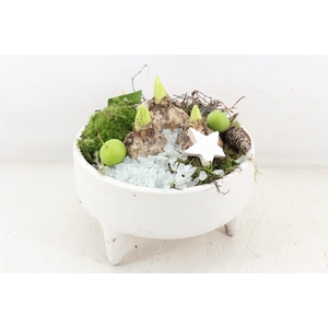 arr4 Hyacint MB - Ker. rond white pootjes