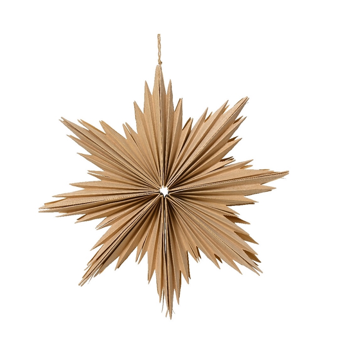 <h4>Kerst Hanger ster papier d30cm</h4>