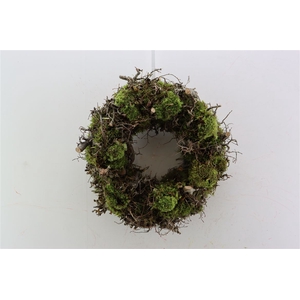 Wr Bonsai Mix Boll Moss 45cm